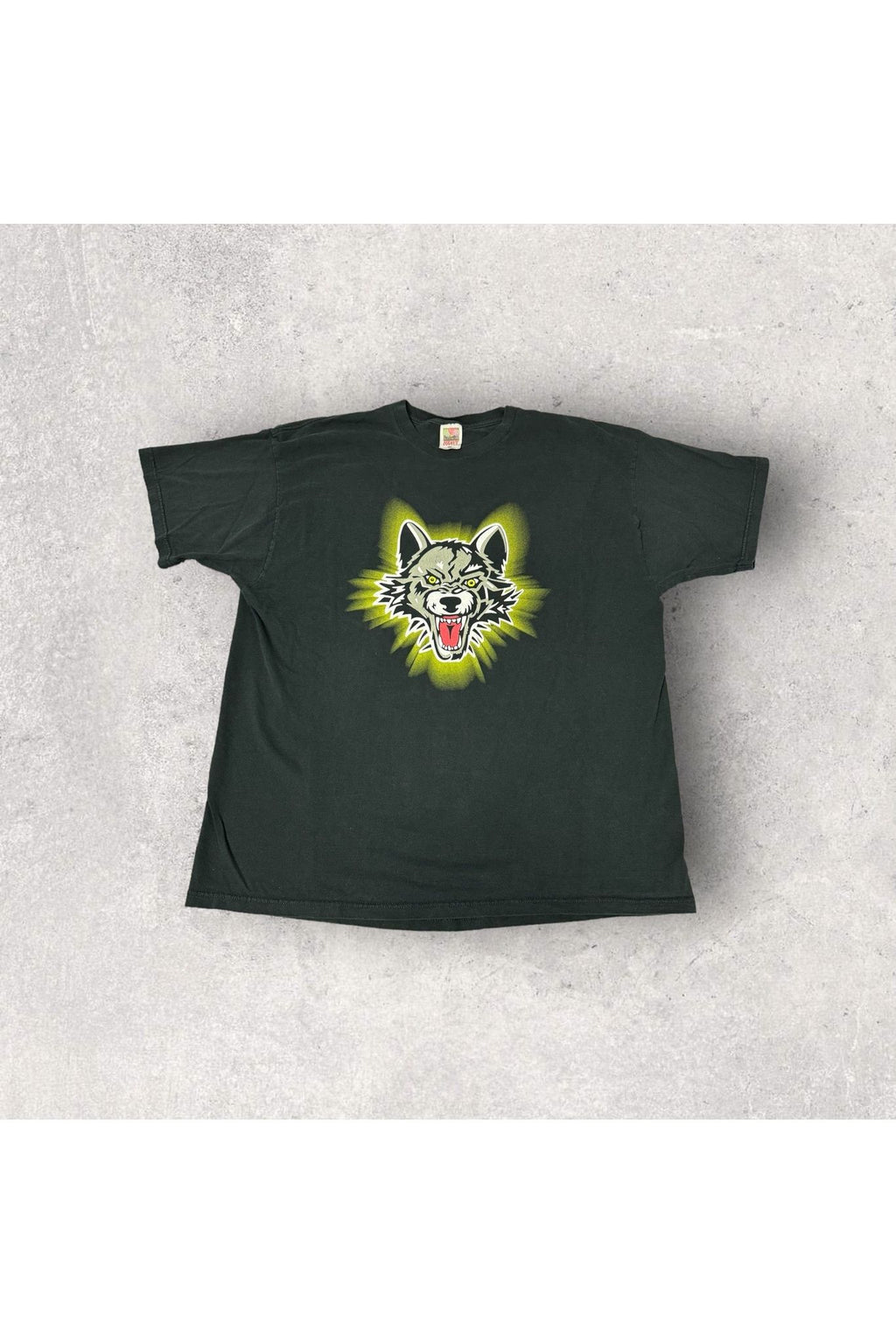 Vintage Chicago Wolves Pro Hockey These Guys Are Champions Tee- XXL
