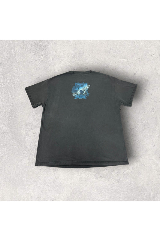 Vintage 2005 Lynyrd Skynyrd Whiskey Rock A' Roller! Tee- XL