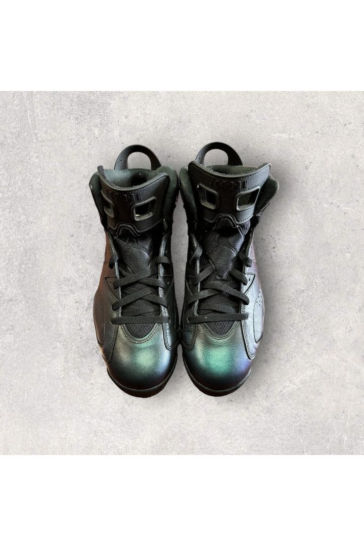 Jordan 6 Retro ALL-STAR CHAMELEON (2017)