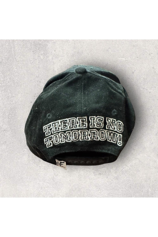 Vintage WWF The Rock Team Bring It Snapback Hat