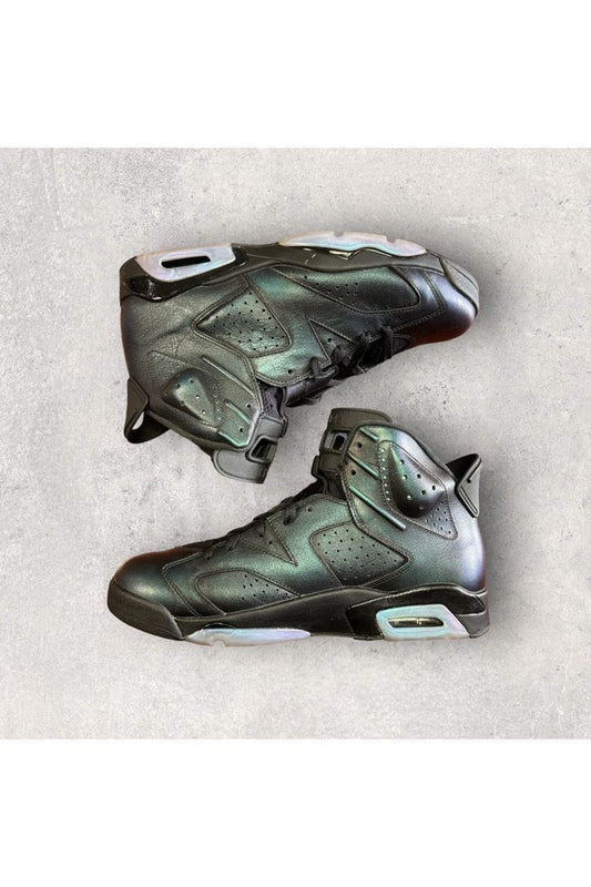 Jordan 6 Retro ALL-STAR CHAMELEON (2017)