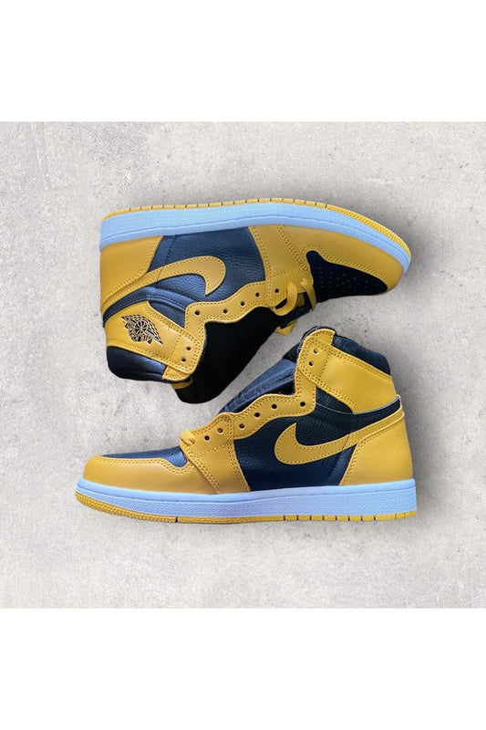 Jordan 1 Retro High POLLEN