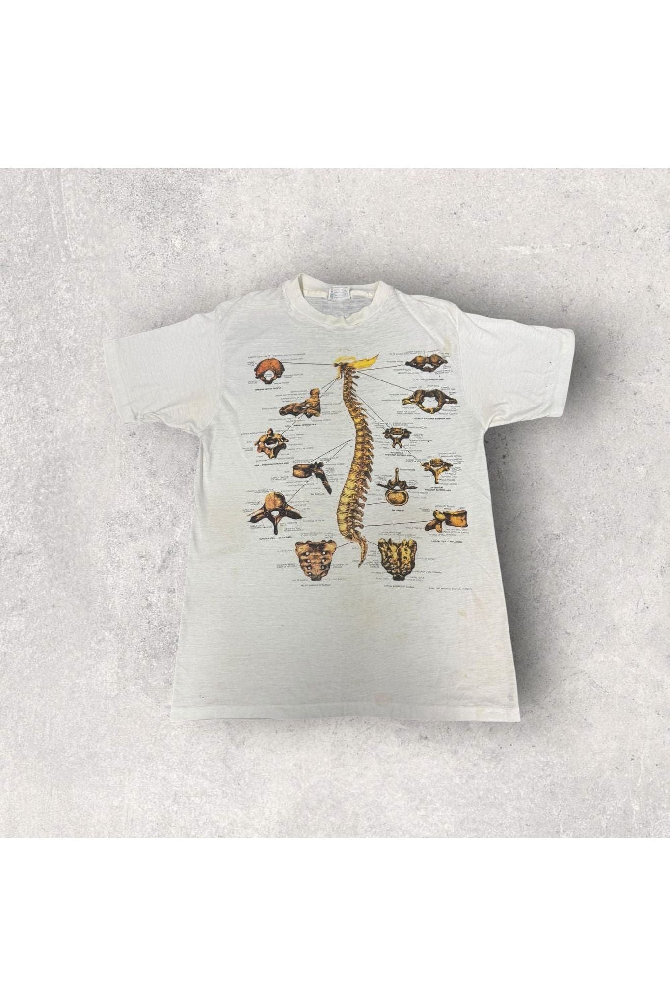Vintage 1987 Anatomical Chart Tee- L