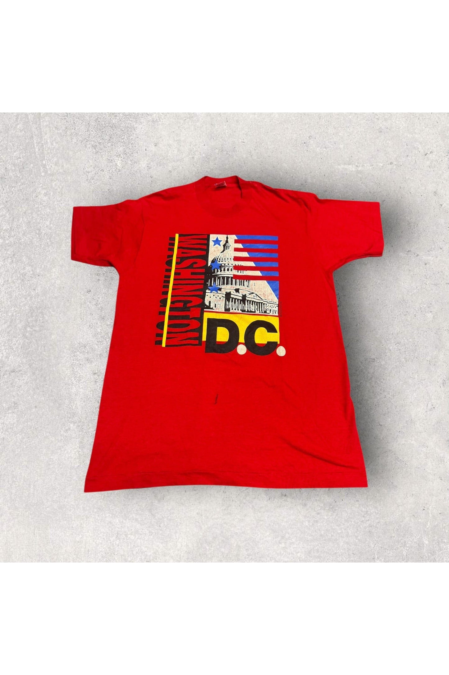 Vintage 90s Single Stitch Fruit of the Loom Washington D.C. Travel Tee- XL