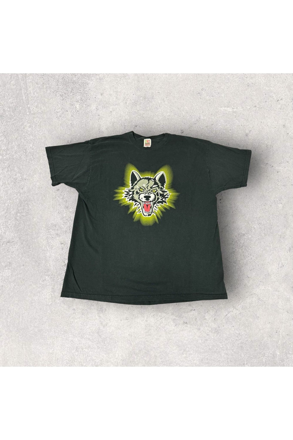 Vintage Chicago Wolves Pro Hockey These Guys Are Champions Tee- XXL