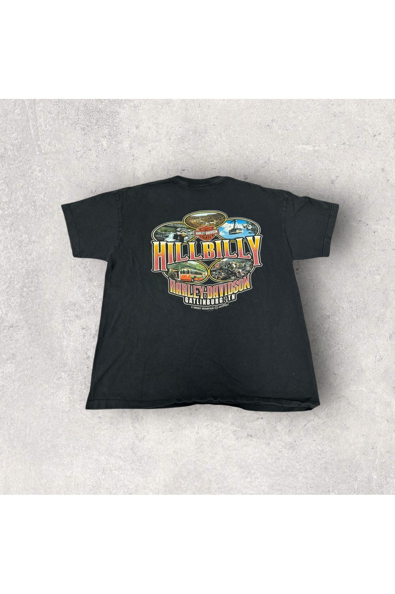 2010 Made In USA Harley-Davidson Hillbilly Tee- XL