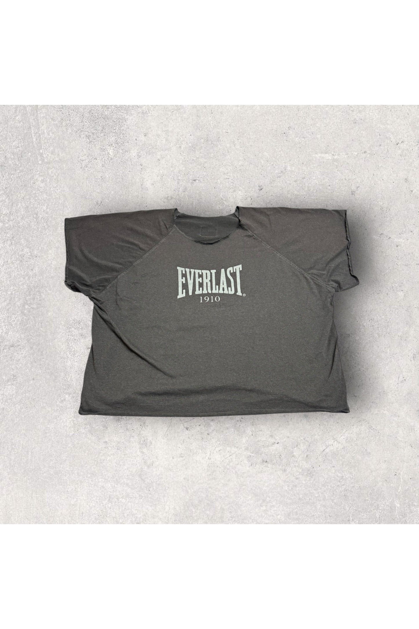 Vintage 90s Everlast Workout Tee- XXL