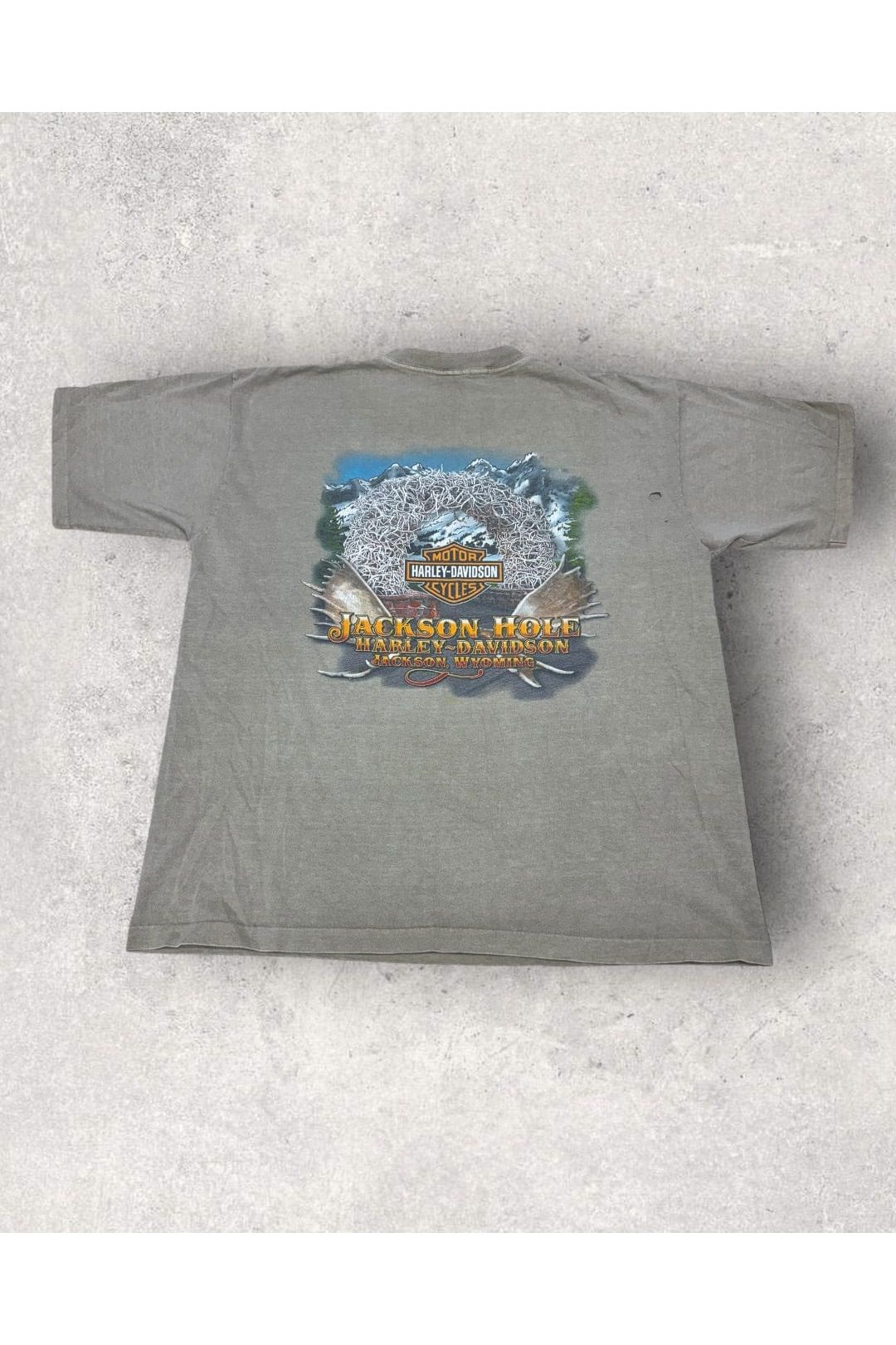 Vintage 2005 Jackson Hole Harley-Davidson Pocket Tee- L