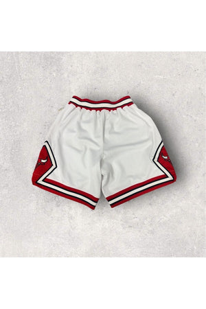Vintage Deadstock 90s Nike Chicago Bulls Basketball Shorts- SZ 36