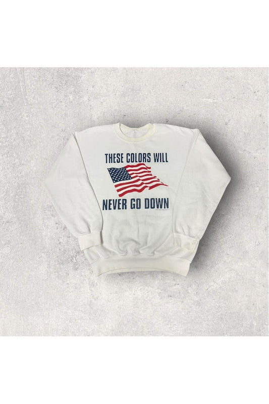 Vintage 2001 USA These Colors Will Never Go Down Crewneck- L