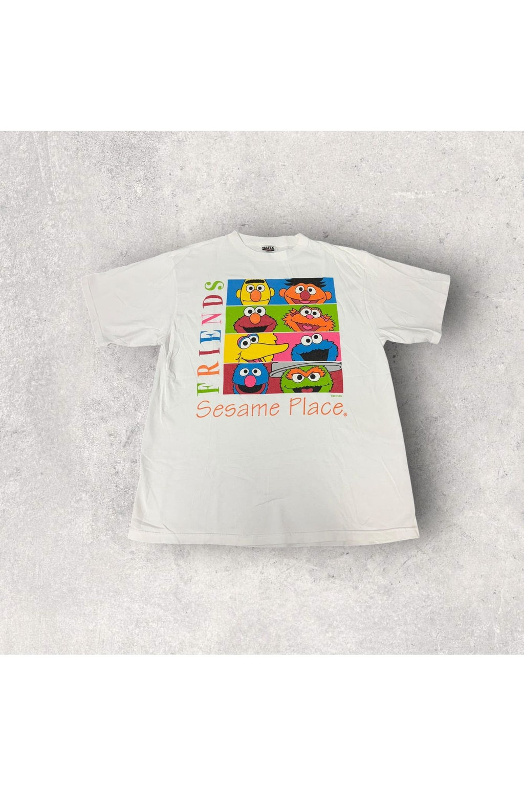 Vintage Tultex Sesame Place Friends Tee- XL