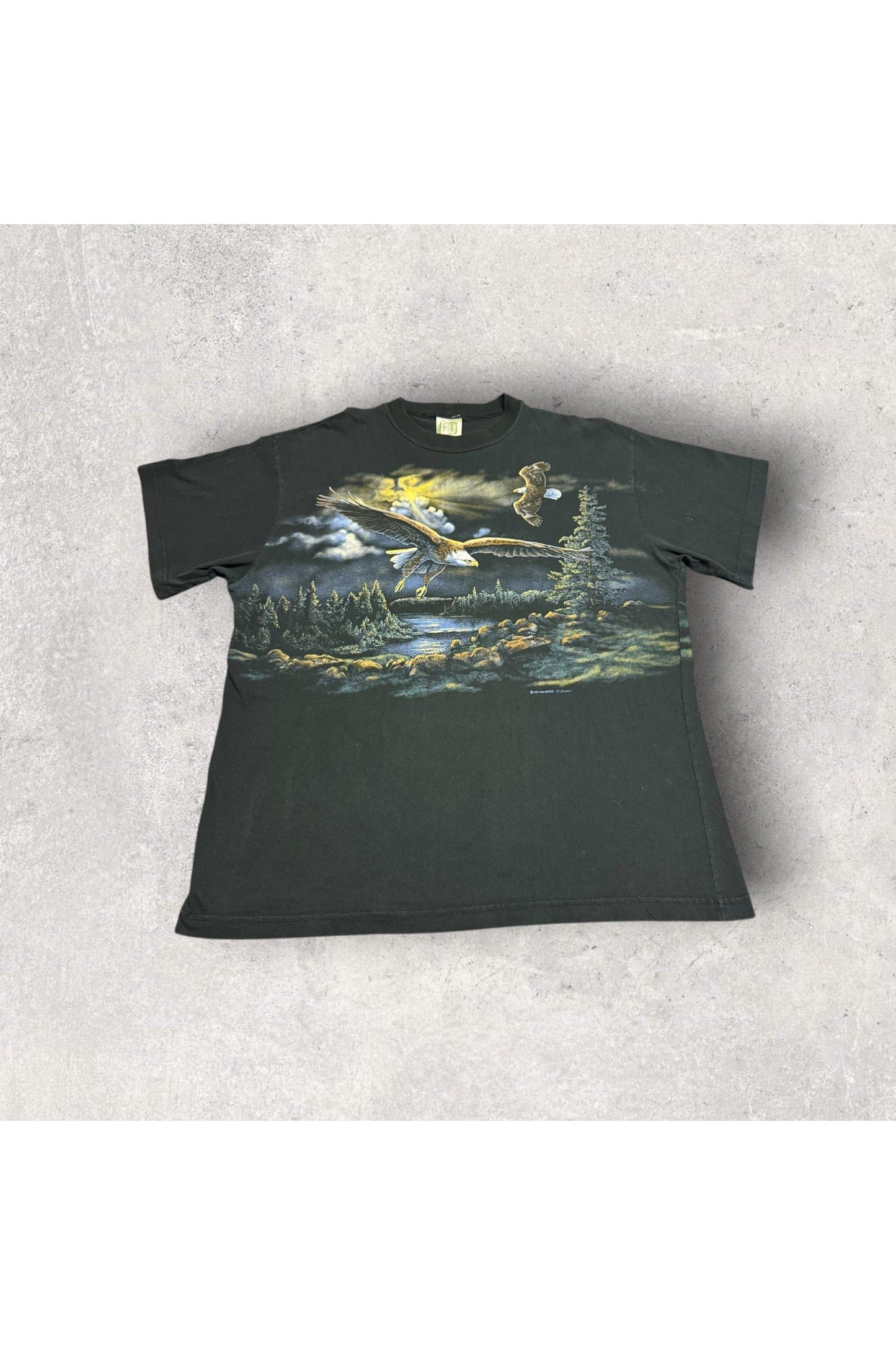 Vintage Art Unlimited Bald Eagles Wrap Around Nature Tee- XXL