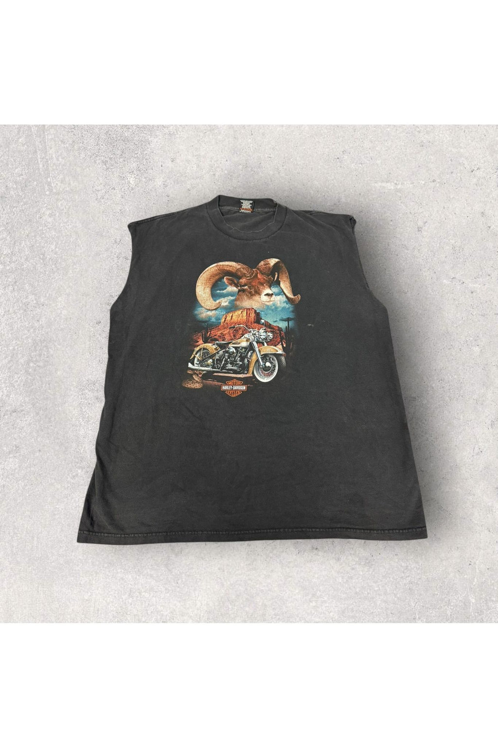 Vintage 2000 Budke's Harley-Davidson Sleeveless Tee- XL