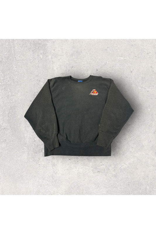 Vintage Champion Reverse Weave PTFERRO Embroidered Crewneck- L