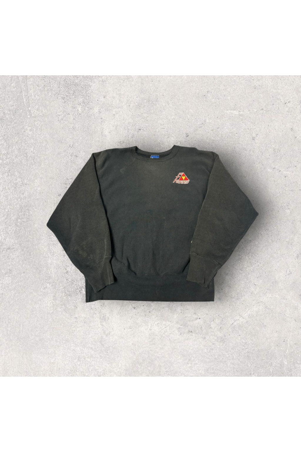 Vintage Champion Reverse Weave PTFERRO Embroidered Crewneck- L