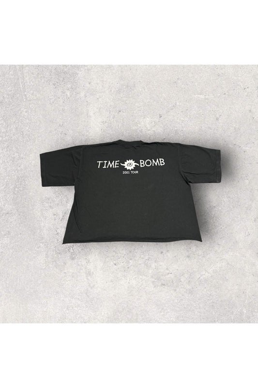 Vintage Giant Buckcherry 2001 Time Bomb Tour Cropped Tee- XL