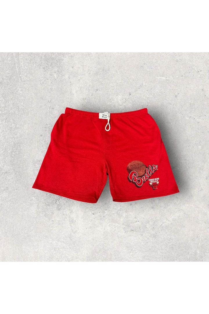 Vintage Team Rated Made In USA 90s Chicago Bulls Gym Shorts- XL